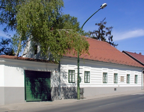 Array Kaposvár Vaszary Emlékház